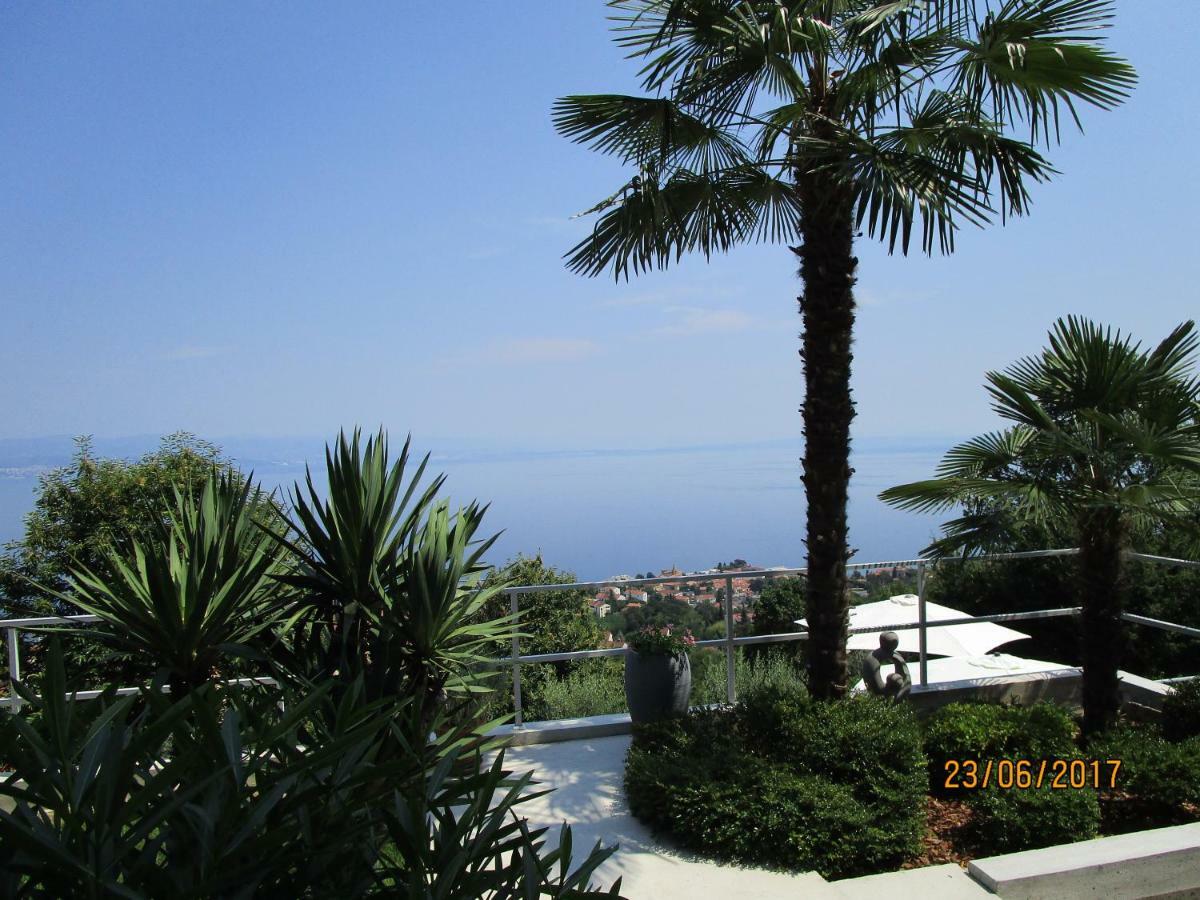 Villa Suzy-Apartments Suzana ロヴラン エクステリア 写真